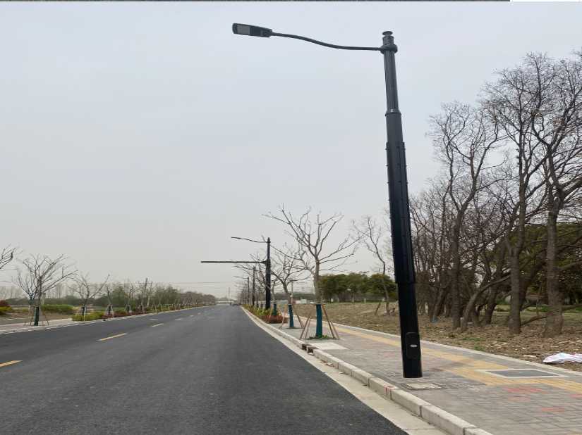 临邑县上海综合杆 太阳能路灯工程